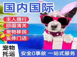 沙堤航空快递国际宠物托运 【国